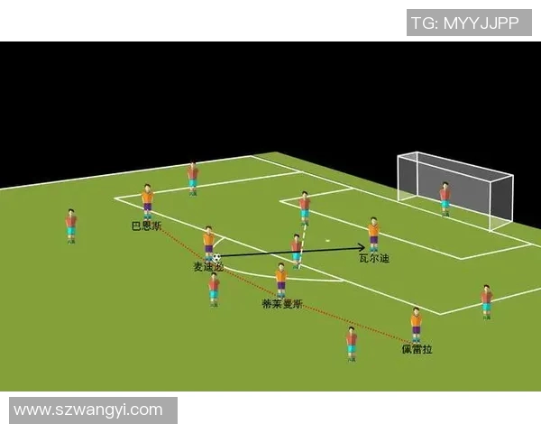 广州排球队的崛起之路：从默默无闻到联赛强队的成长历程
